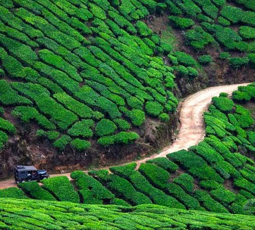 Munnar, Thekkady, Alleppey & Kovalam Tour Package| 5N 6D